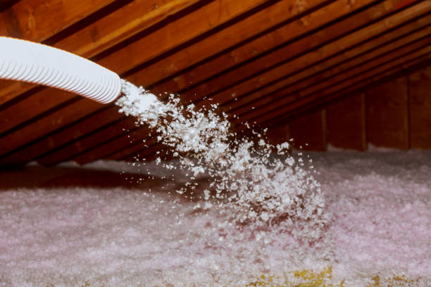 Professional Insulation Contractor in LA